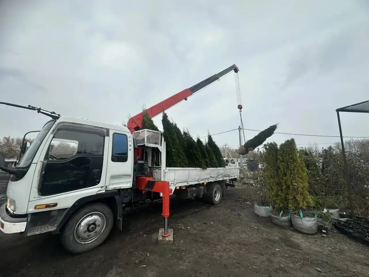 Перевозка грузов манипулятором - пример работы 5